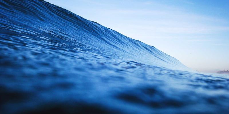 2024年网络技术趋势全解析：从资源分享到实战工具的开发者进化指南