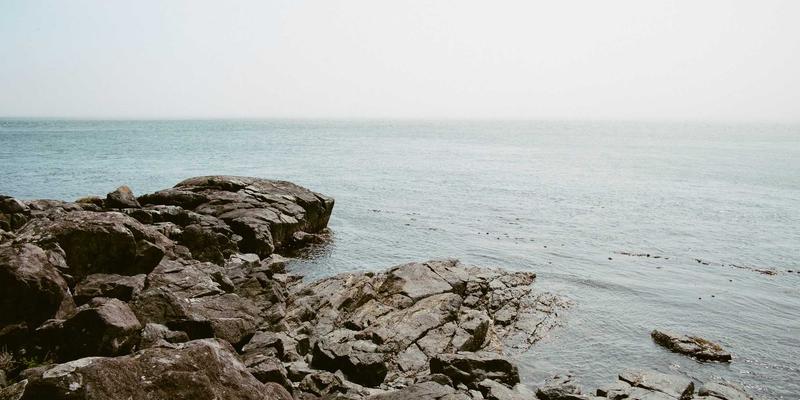 YM7570883技术教程：掌握核心软件工具，提升网络技术实战能力