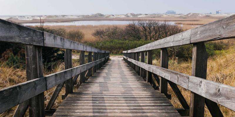 YM7570883：编程开发者的资源宝藏与高效学习路径解析