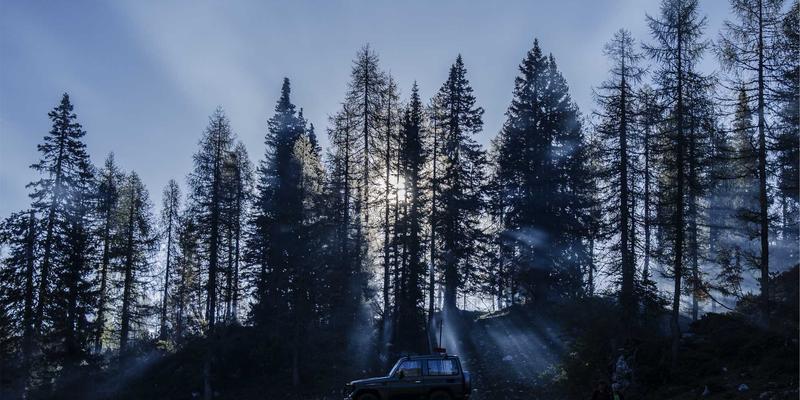 YM7570883：解锁网络技术4时代的资源分享与技术教程新范式