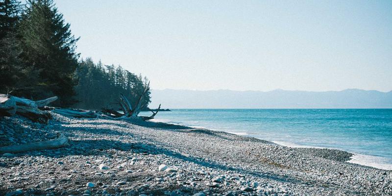 网络技术43：编程开发者的软件工具与资源分享全景指南