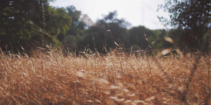 网络技术79：从资源分享到技术精通的进阶之路