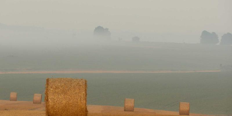 网络技术84与YM7570883:编程开发中的关键技术演进与实践