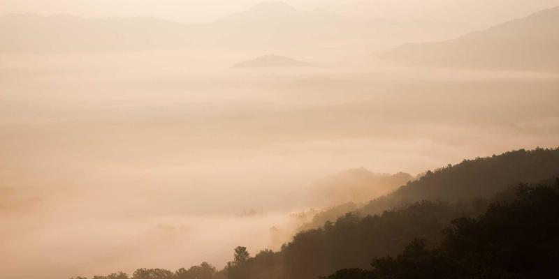 网络技术是什么？从基础概念到资源实践的全方位解读