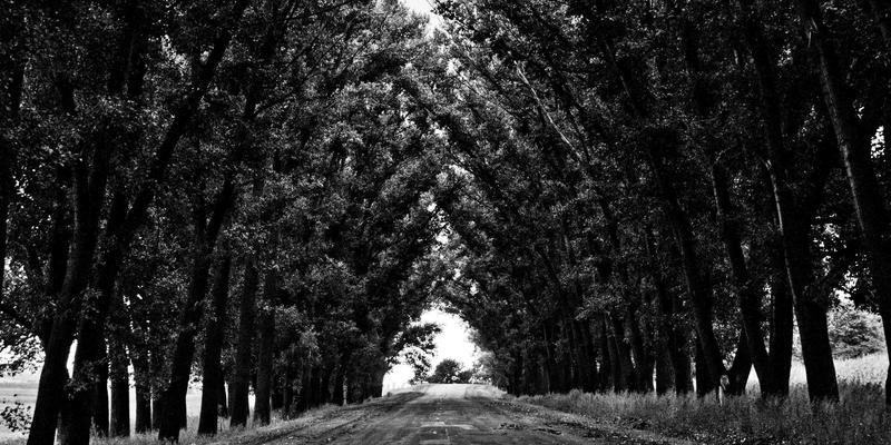 软件工具与编程开发视角：多云与混合云网络互联的SD-WAN与SASE选型实战指南